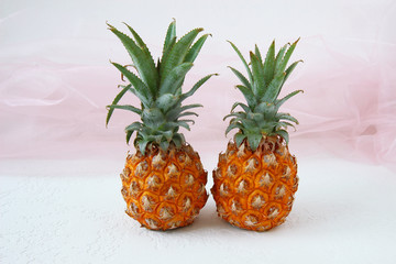 fresh mini pineapple on white background. Pineapples from Thailand	