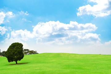 계절 풍경 식물 오브젝트 자연 숲 백그라운드 이미지