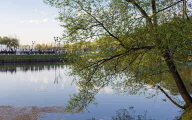 Obraz premium Pond in the summer park
