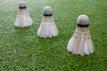 shuttlecock on the grass