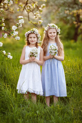 Fototapeta na wymiar Beautiful young girls in long dresses in the garden with blosoming apple trees. Smiling girls having fun and enjoying