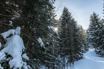 Alpine winter landscape in switzerland