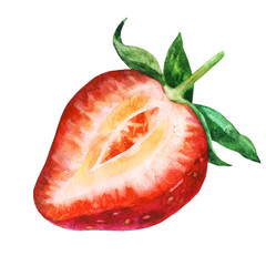 Watercolor illustration. Sliced strawberry.