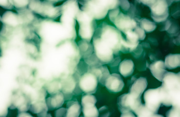 Obraz premium blur Bokeh light
