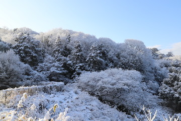 雪景色