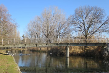 Goito Mantova Italia fiume Mincio parco protetto