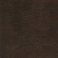 The dark brown natural leather textured background.