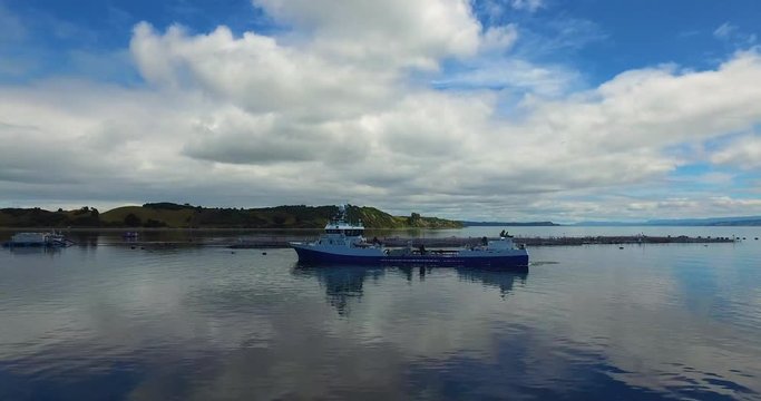 Aerial view of wellboat during harvesting of salmon in captivity, in the waters of the Chiloe archipelago