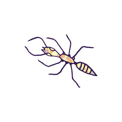 ant vector doodle sketch isolated on white background