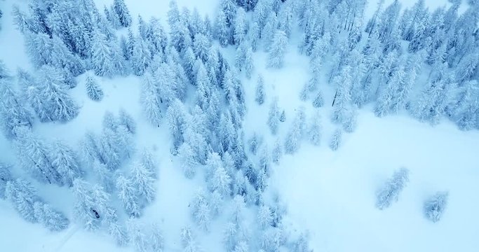 Winterwonderland Engadin