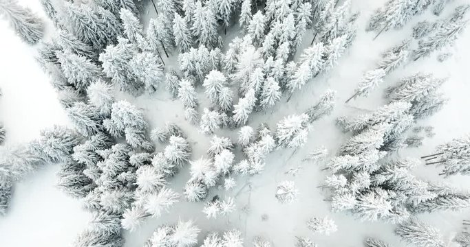 Winterwonderland Engadin