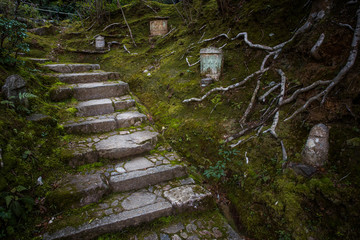 Stone Pathway, Kyoto