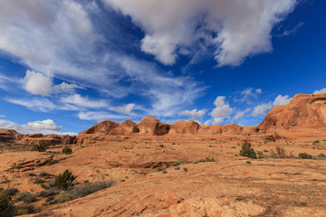 Fototapeta premium Blue Sky