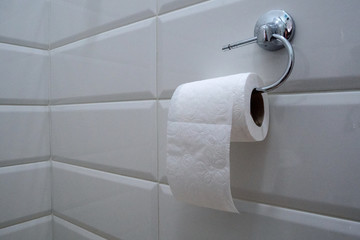 Roll of white toilet paper is hanging in the restroom on the wall.