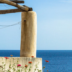 la pulera