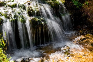 Fototapeta na wymiar Beautiful forest stream, fast water flow 