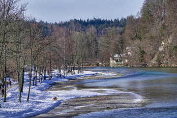Flowing River with Forest in the background