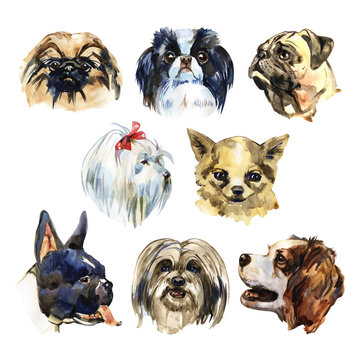 Portrait cute dog set isolated. Watercolor hand-drawn illustration. Popular decorative dog breeds. Greeting card design.
