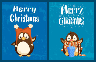Merry Christmas greeting cards, penguins in hat with bubos and scarf with mittens. Gift box or present, bird in winter clothes, holiday celebration vector