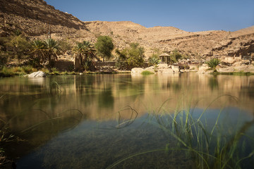 Amazing Lake and oasis with palm trees (Wadi Bani Khalid) in the Omani desert