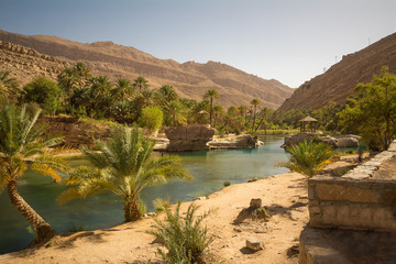 Amazing Lake and oasis with palm trees (Wadi Bani Khalid) in the Omani desert - 246956692