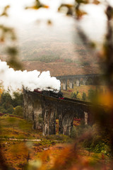 Steam train passing Glenfinnan Viaduct with fog covered mountains and flower foreground during a moody autumn day (Glenfinnan, Scotland, Europe)