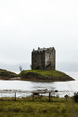 Lonely island in Loch Linnhe with Castle Stalker during a rainy autumn day with moody sky (Castle Stalker, Scotland, United Kingdom, Europe)