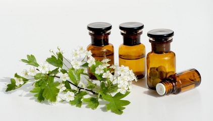 Weißdorn, Tinktur, Naturheilkunde