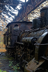 Fototapeta na wymiar Abandoned locomotive park