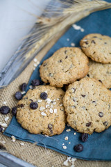Oat cookie with chocolate chips close up selective focus