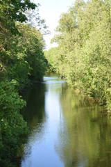 Stream landscape, at the riverside