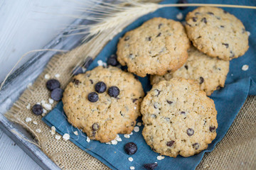 Oat cookie with chocolate chips close up selective focus