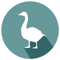 Goose flat design icon vector eps 10