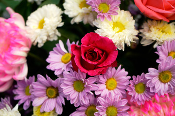 Pattern of natural flowers background texture