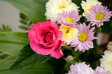 Pattern of natural flowers background texture