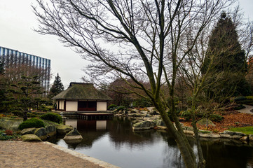 Fototapeta premium Japanese botanic garden