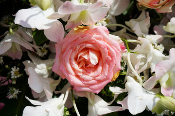 Pattern of natural flowers background texture