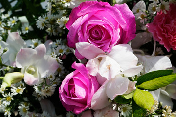 Pattern of natural flowers background texture