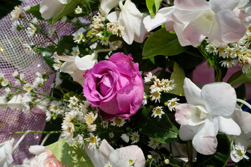 Pattern of natural flowers background texture