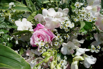 Pattern of natural flowers background texture