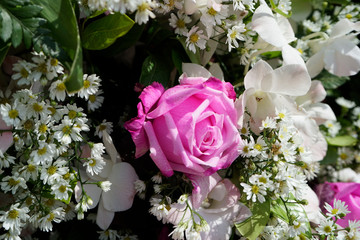 Pattern of natural flowers background texture