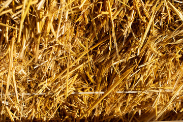 Golden hay stack as background