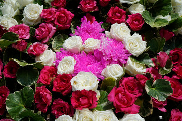 Pattern of natural flowers background texture