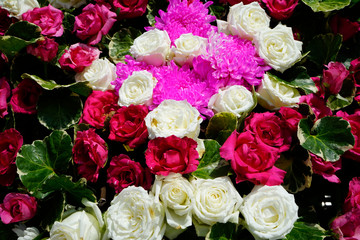 Pattern of natural flowers background texture
