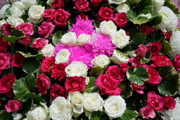 Pattern of natural flowers background texture