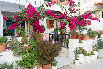 Obraz na płótnie Canvas building on the Mediterranean decorated with flowers