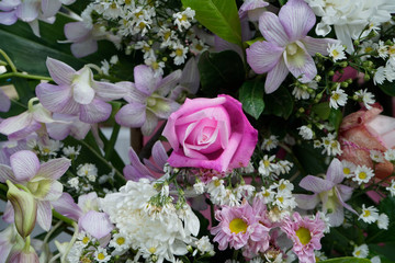 Pattern of natural flowers background texture