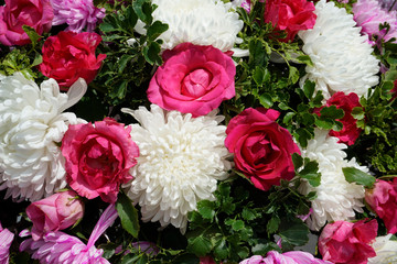 Pattern of natural flowers background texture