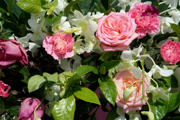 Pattern of natural flowers background texture