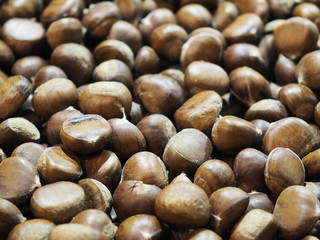 Veteran Brown hard shell fruit